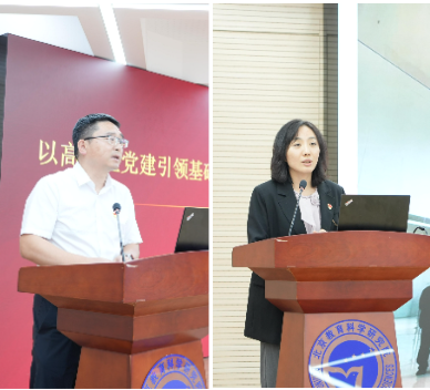 11ge (1).png