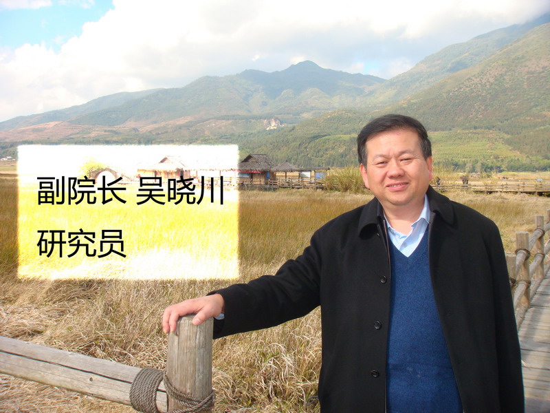 吴晓川.jpg