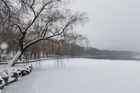 寻访北京之美——圆明园雪景.jpg