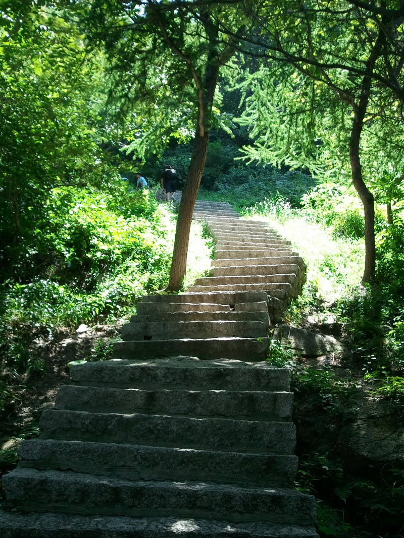 山径—山东烟台昆嵛山国家森林公园（王宇波，职成所，18911294280）.jpg
