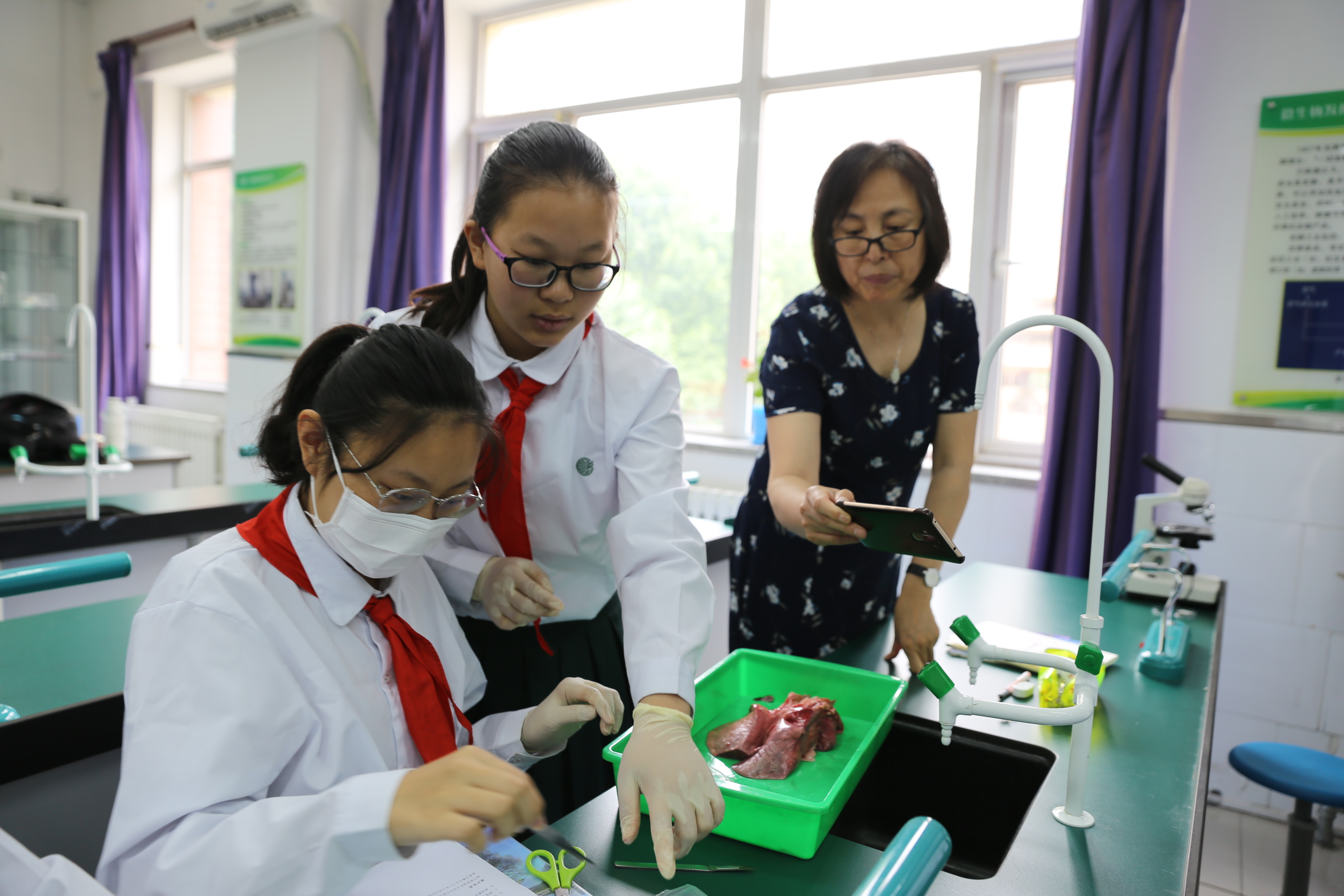 小学科学.JPG
